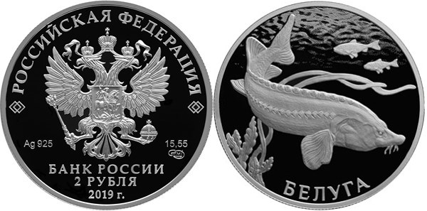 Монета 2 рубля 2019 года Красная книга. Белуга. Стоимость