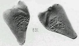 Монета Денга (голова в шапке прямо, на обороте зверь влево, кольцевые надписи)