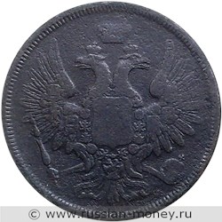 Монета 5 копеек 1855 года (ЕМ). Стоимость. Аверс