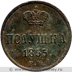 Монета Полушка 1855 года (ЕМ). Стоимость. Реверс