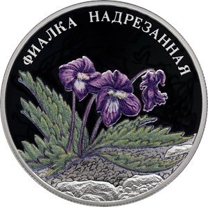 Монета 2 рубля 2022 года Фиалка надрезанная. Реверс
