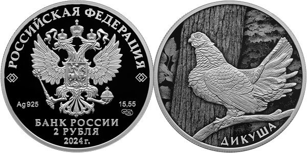 Дикуша 2024