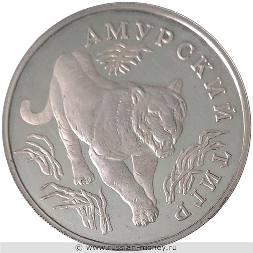Монета 1 рубль 1993 года Красная книга. Амурский тигр. Стоимость. Реверс