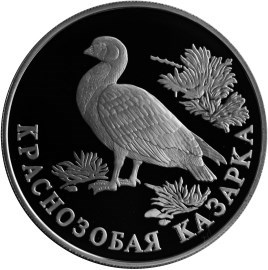 Монета 1 рубля 1994 года Красная книга. Краснозобая казарка. Реверс