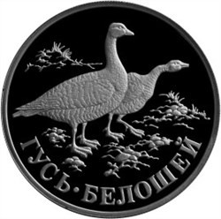 Монета 1 рубль 1998 года Красная книга. Гусь-белошей. Стоимость. Реверс