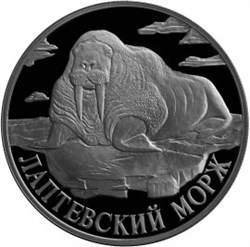 Монета 1 рубль 1998 года Красная книга. Лаптевский морж. Стоимость. Реверс
