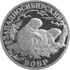 Монета 1 рубль 2001 года Красная книга. Западносибирский бобр. Стоимость. Аверс