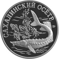 Монета 1 рубль 2001 года Красная книга. Сахалинский осётр. Стоимость. Аверс