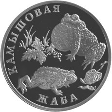 Монета 1 рубль 2004 года Красная книга. Камышовая жаба. Стоимость. Реверс