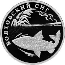 Монета 1 рубль 2005 года Красная книга. Волховский сиг. Стоимость. Реверс