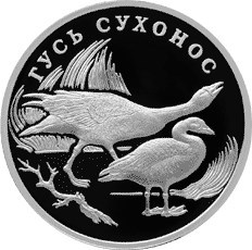 Монета 1 рубль 2006 года Красная книга. Гусь сухонос  . Стоимость. Реверс