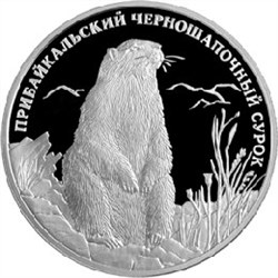 Монета 2 рубля 2008 года Красная книга. Прибайкальский черношапочный сурок. Стоимость. Реверс