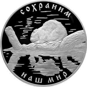 Монета 25 рублей 2008 года Сохраним наш мир. Речной бобр. Стоимость. Реверс
