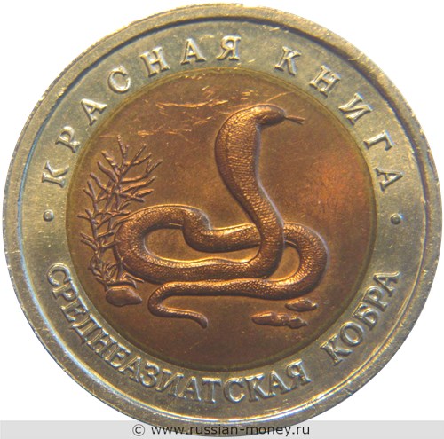 Монета 10 рублей 1992 года Красная книга. Среднеазиатская кобра. Стоимость. Реверс