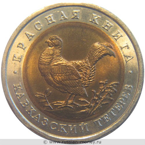 Монета 50 рублей 1993 года Красная книга. Кавказский тетерев. Стоимость. Реверс