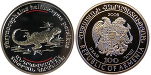 Такырная круглоголовка 2008 2008