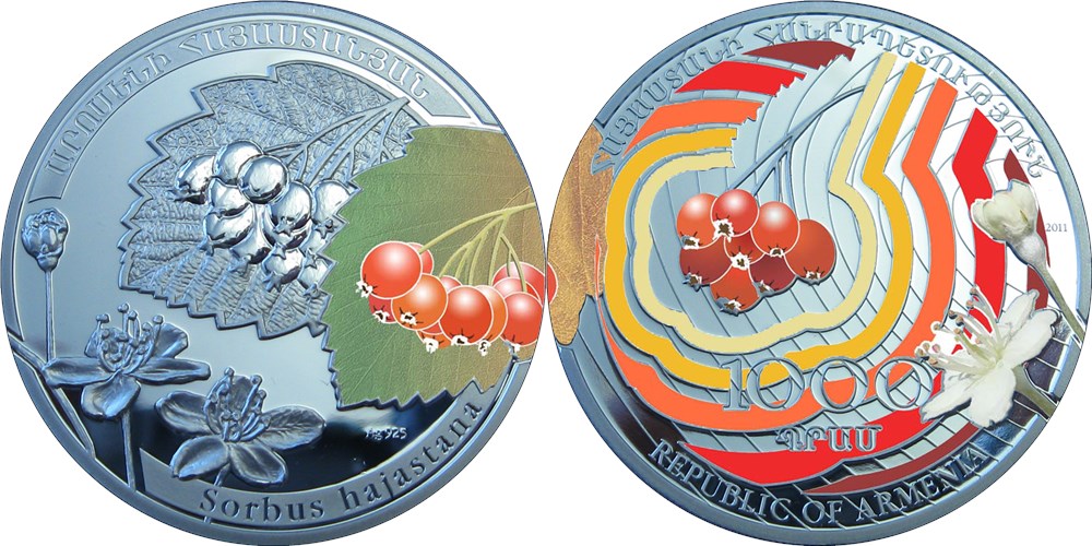1000 драмов 2011 года Рябина армянская. Разновидности, подробное описание