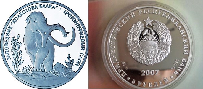5 рублей 2007 года Трогонтериевый слон. Разновидности, подробное описание