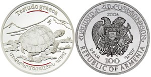 Средиземноморская черепаха 2006 2006