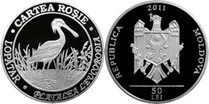 Обыкновенная колпица 2011 2011