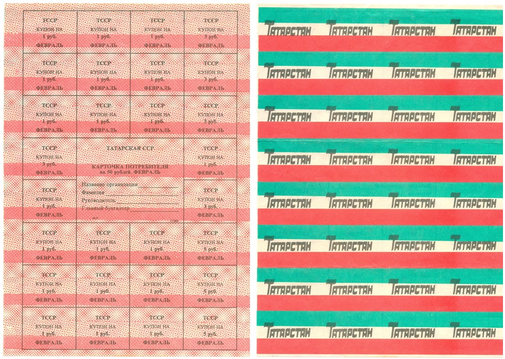 Банкнота Карточка потребителя Татарской ССР 1991