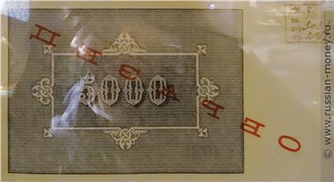 Банкнота 5000 рублей 1921 (пробный выпуск). Реверс